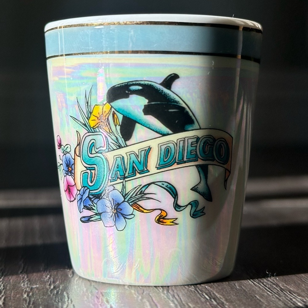 San Diego Souvenir Shot Glass with Orca Design